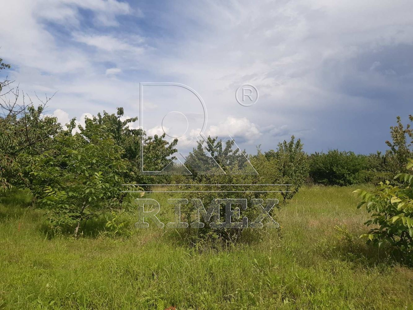 Продава ПАРЦЕЛ, с. Брестник, област Пловдив, снимка 2 - Парцели - 49950102