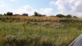 Продава ПАРЦЕЛ, с. Табачка, област Русе, снимка 4