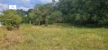 Продава ПАРЦЕЛ, област Перник, с. Кралев дол • 225000 € • 54926975 — Holmes.bg