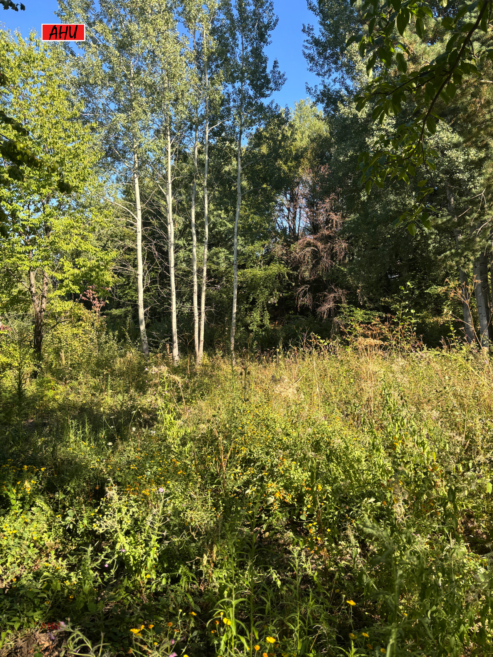 Продава ПАРЦЕЛ | Imot.bg — изображение 1