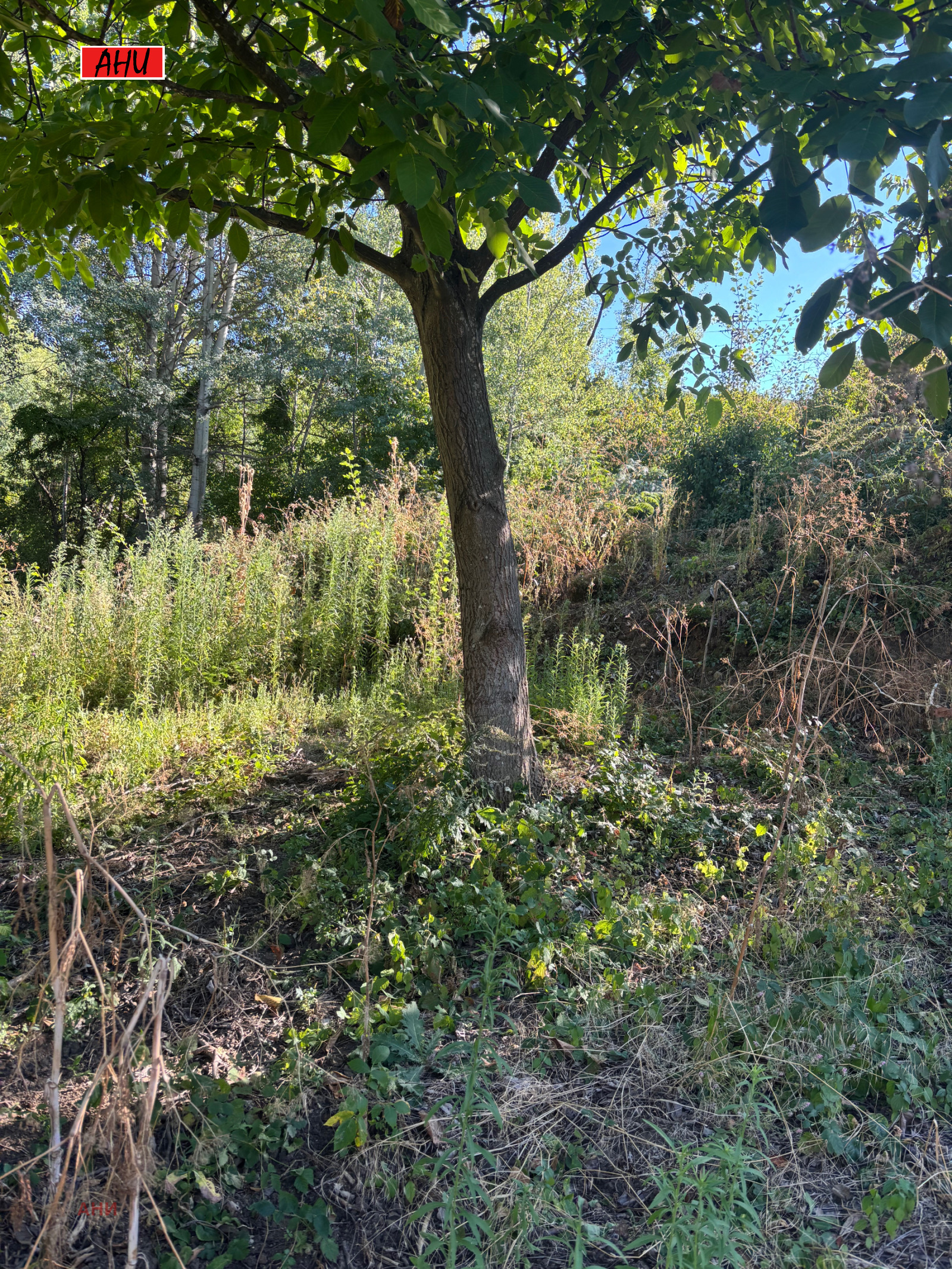 Продава ПАРЦЕЛ | Imot.bg — изображение 2