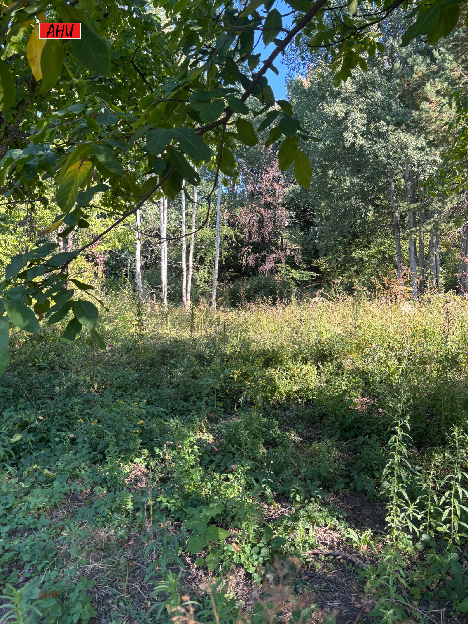 Продава ПАРЦЕЛ | Imot.bg — изображение 3