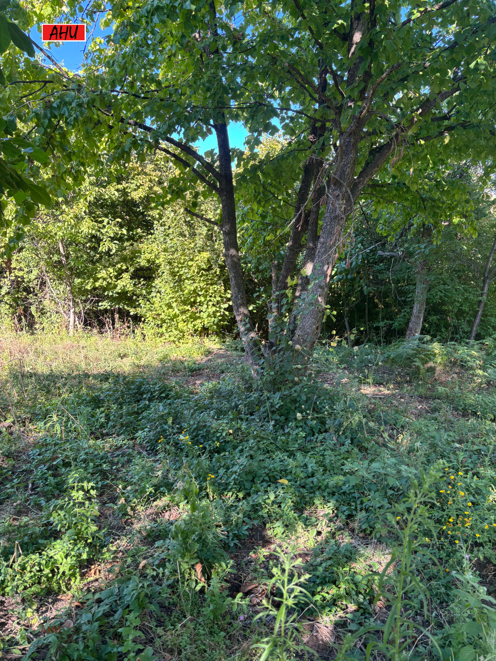 Продава ПАРЦЕЛ | Imot.bg — изображение 4