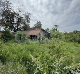 Casa Ekzarj Yosif, región Ruse 6