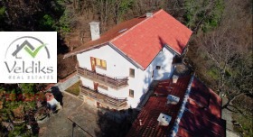 ����� ������� ����,���� �����, �������