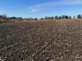Продава КЪЩА, с. Овчарово, област Добрич, снимка 2
