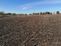 Продава КЪЩА, с. Овчарово, област Добрич, снимка 4