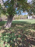 Продава ПАРЦЕЛ, област Перник, с. Расник • 68000 лв. • 58470244 — Holmes.bg