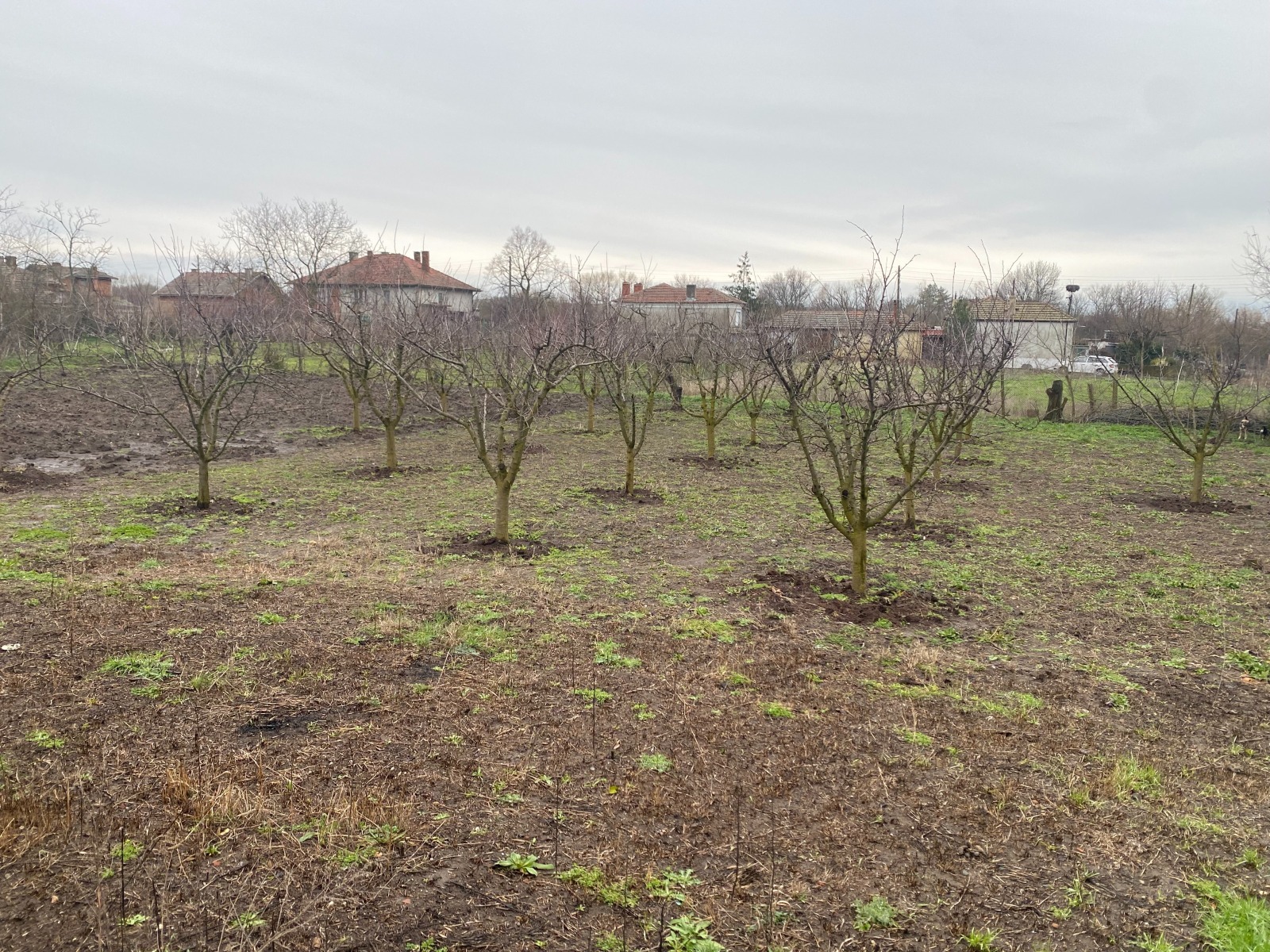 ������� ���� | Imot.bg � ����������� 7