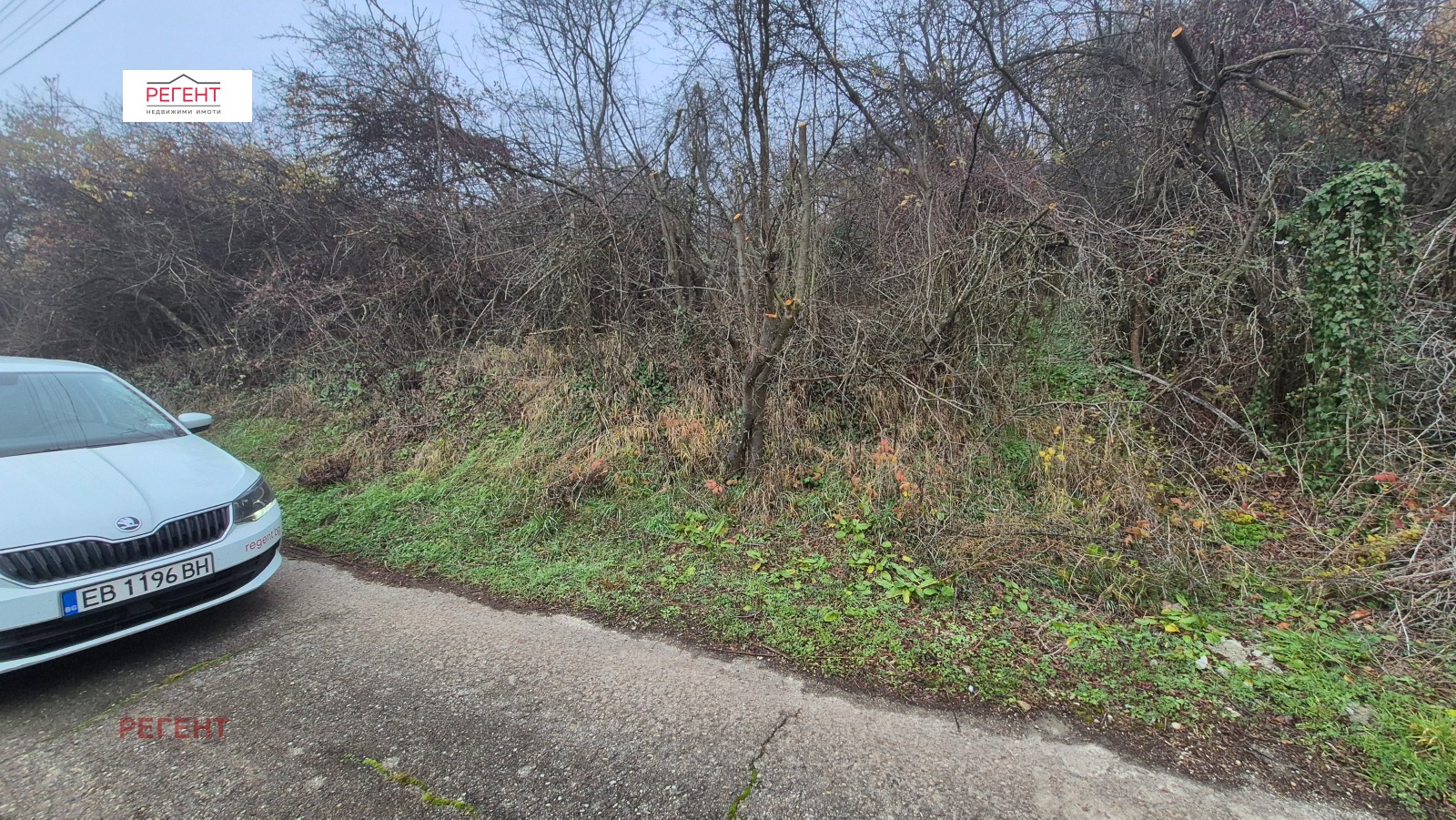 ������� ������ | Imot.bg � ����������� 4