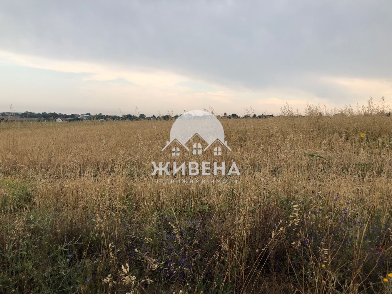 Продава ПАРЦЕЛ, с. Кичево, област Варна, снимка 2 - Парцели - 46098562