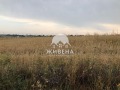Продава ПАРЦЕЛ, с. Кичево, област Варна, снимка 2