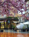 Продава МНОГОСТАЕН, град Варна, Гръцка махала • 530000 € • 60482987 5