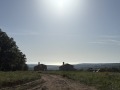 Продава КЪЩА, област Варна, с. Приселци • 225000 € • 10681667 — Holmes.bg