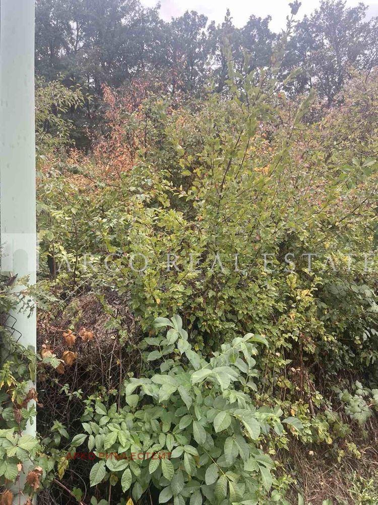 Myytävänä  Huvila Sofia , Novi Iskar , 50 neliömetriä | 86507247 - kuva [6]