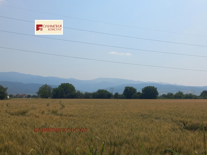 En venta  Trama Plovdiv , Yuzhen , 6197 metros cuadrados | 22745840 - imagen [3]