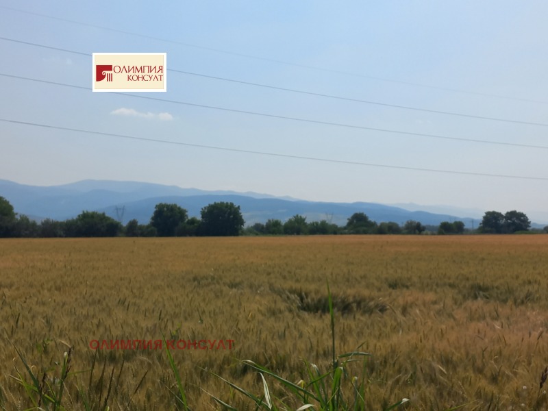En venta  Trama Plovdiv , Yuzhen , 6197 metros cuadrados | 22745840 - imagen [4]