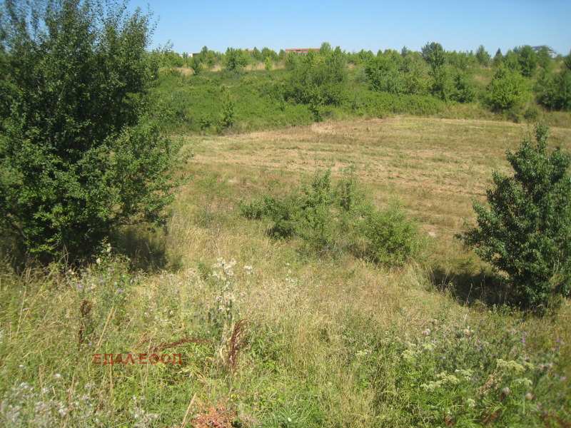 Προς πώληση  Οικόπεδο Σοφηια , Βηστρητσα , 1150 τ.μ | 49605412 - εικόνα [5]