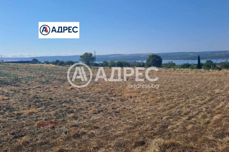 Продава  Парцел област Варна , с. Езерово , 10000 кв.м | 84681551 - изображение [5]