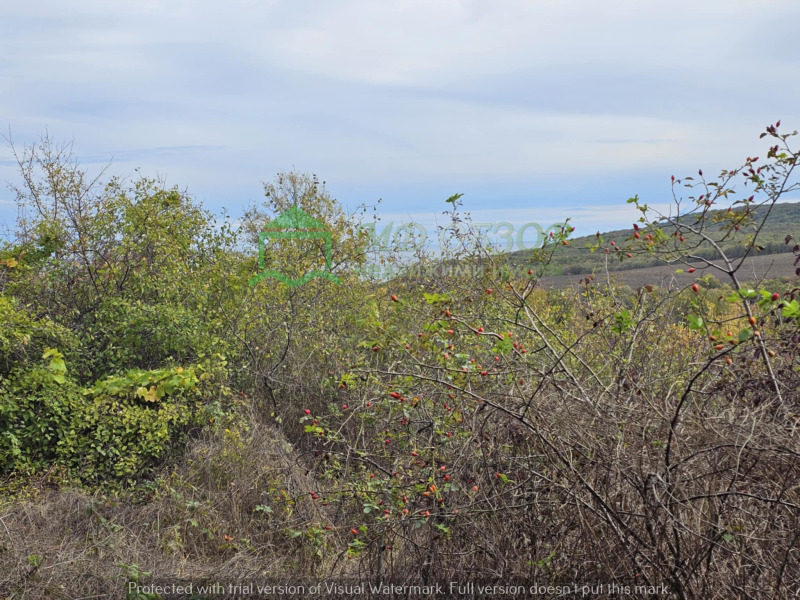 Продава ПАРЦЕЛ, гр. Обзор, област Бургас, снимка 9 - Парцели - 52648009