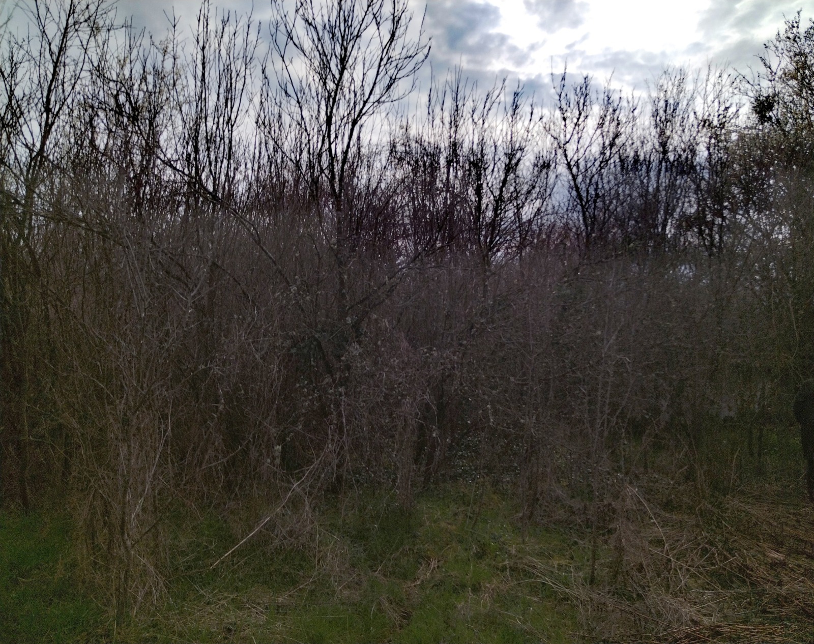 ������� ������ | Imot.bg � ����������� 2