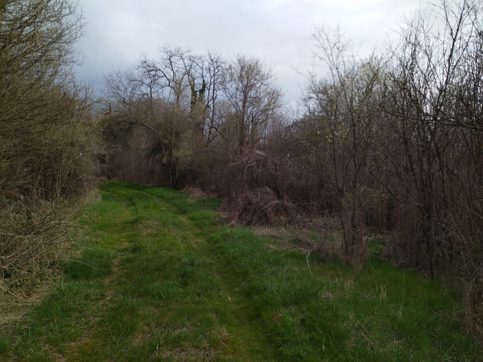 ������� ������ | Imot.bg � ����������� 4