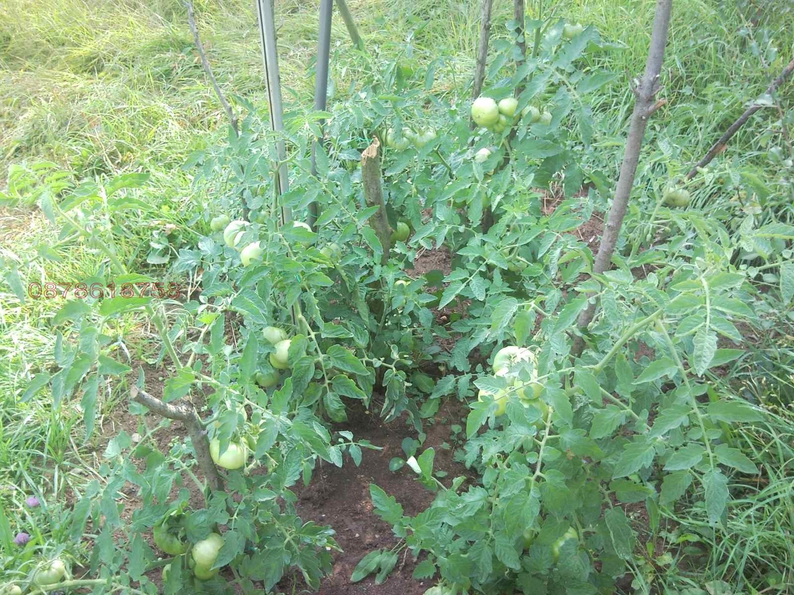 ������� ������ | Imot.bg � ����������� 2