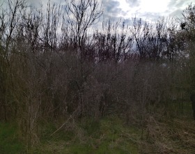 ������� ������ | Imot.bg � ����� ������ 2