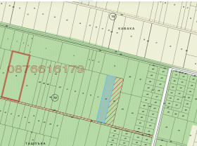 ����� ������� ������,�. ��������, ������ �������