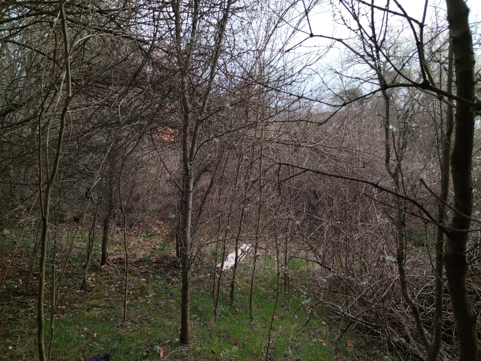 Продава ПАРЦЕЛ, с. Поцърненци, област Перник