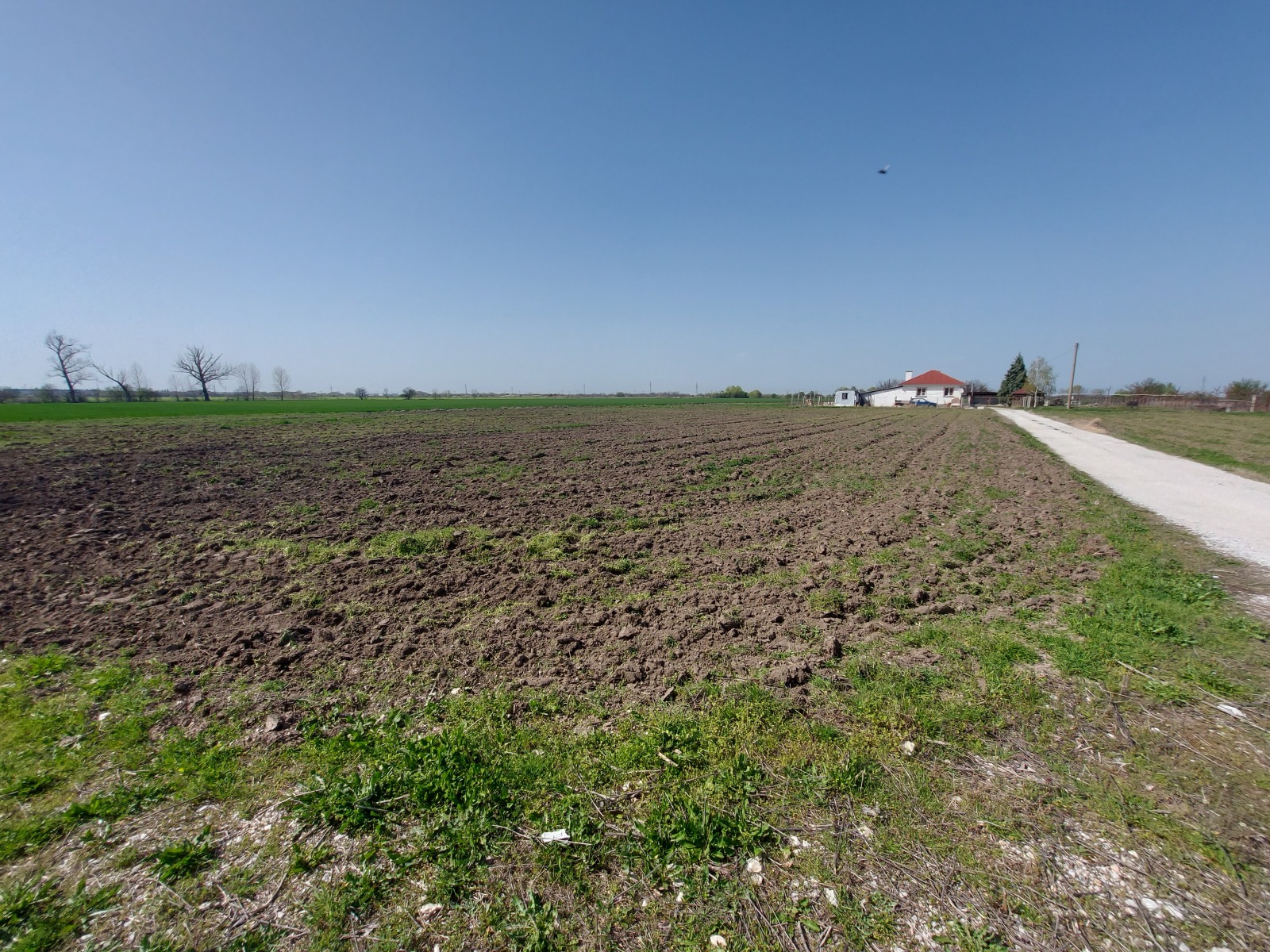 Продава ПАРЦЕЛ | Imot.bg — изображение 3