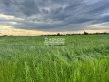 Продава ПАРЦЕЛ, град Пловдив, Беломорски • 313000 € / 612174.79 лв. • 42861494 1