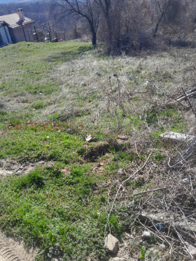 ������� ������ | Imot.bg � ����� ������ 2