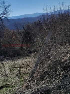 ������� ������ | Imot.bg � ����� ������ 6