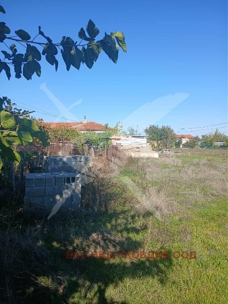 Продава ПАРЦЕЛ, с. Маноле, област Пловдив, снимка 2 - Парцели - 54260214