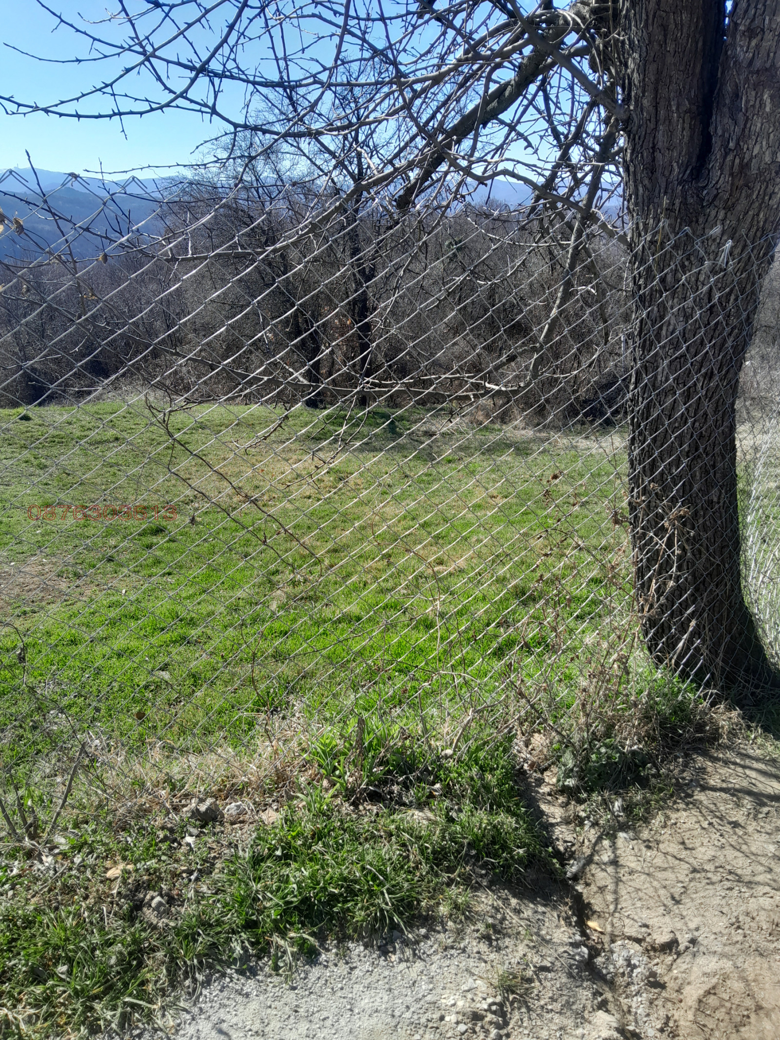 Продава ПАРЦЕЛ, гр. Габрово, Пройновци, снимка 4 - Парцели - 53829503