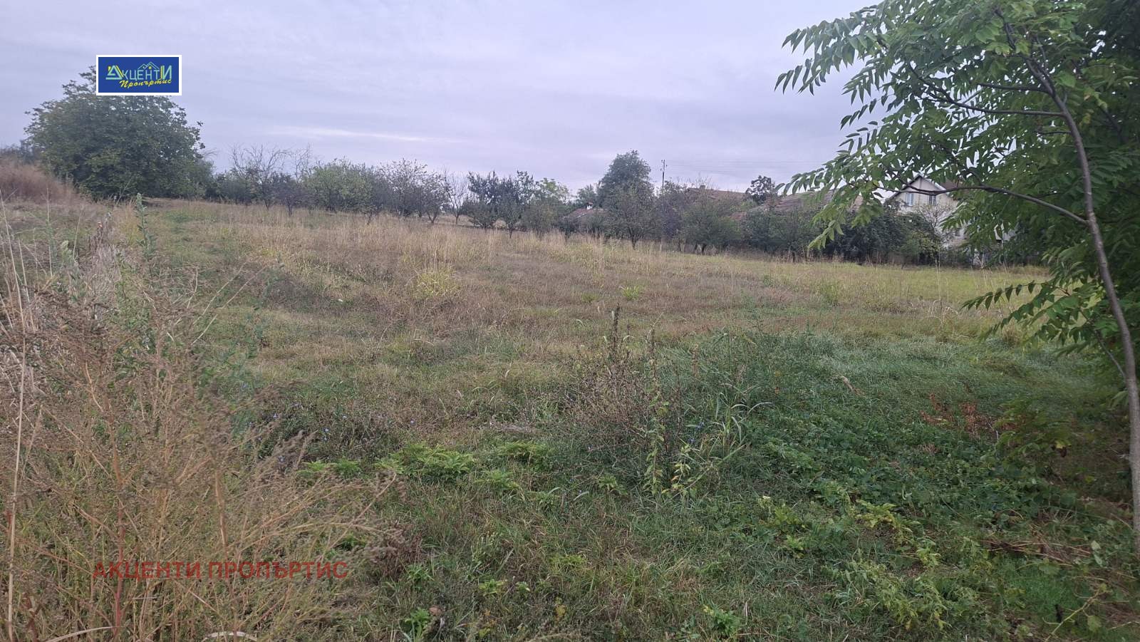 Продава ПАРЦЕЛ, с. Поликраище, област Велико Търново