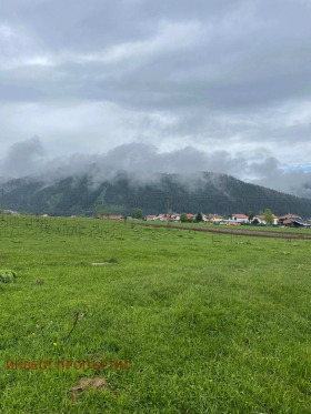 Плот Говедарци, регион Софиа