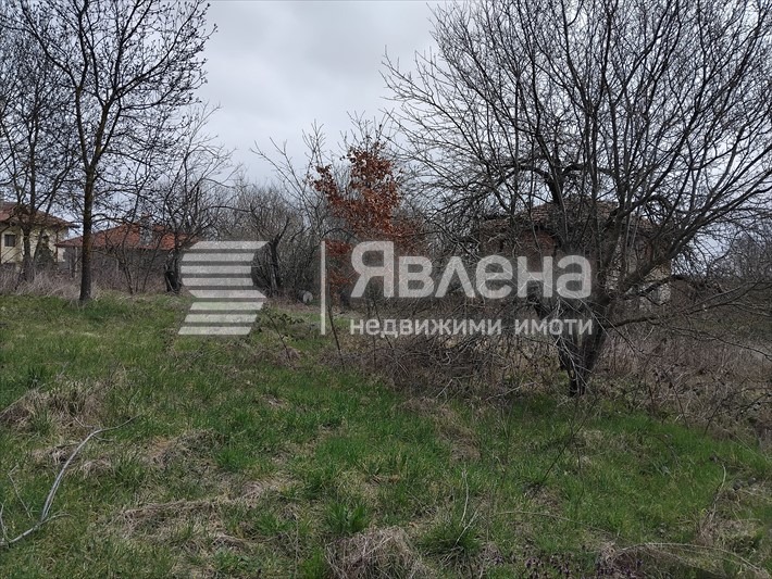 Продава ПАРЦЕЛ, с. Фазаново, област Бургас, снимка 10 - Парцели - 53918748