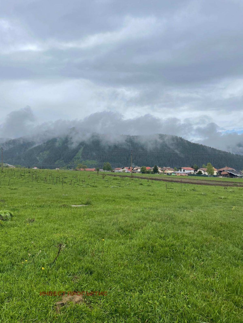 Te koop  Verhaallijn regio Sofia , Govedartsi , 4106 m² | 69596271
