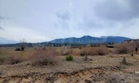 ����� ������� ������,��. ������, ������ �����������