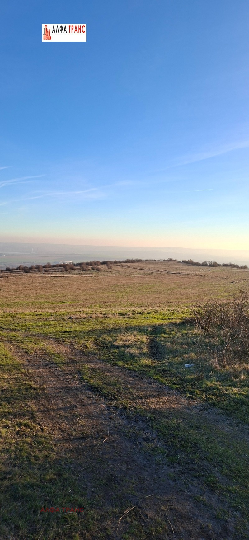 Продава ЗЕМЕДЕЛСКА ЗЕМЯ, с. Слънчево, област Варна, снимка 6 - Земеделска земя - 52679502