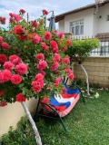 Продава 2-СТАЕН, област Добрич, гр. Балчик • 85000 € / 166245.55 лв. • 75526546 13