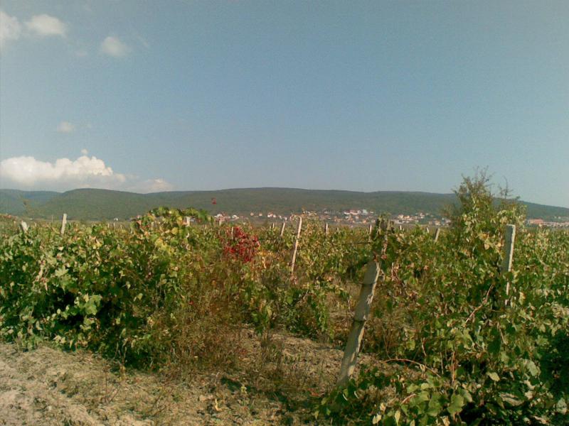 ������� ������ | Imot.bg � ����������� 6