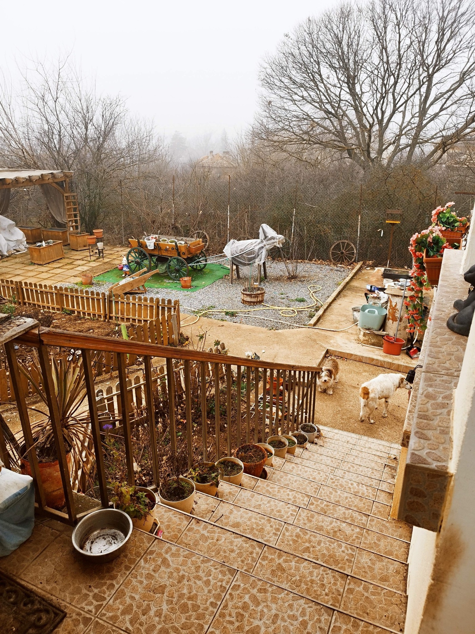 ������� ���� | Imot.bg � ����������� 17