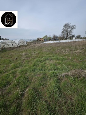 ����� ������� ����,�. ������, ������ �������