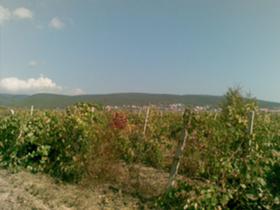 ������� ������ | Imot.bg � ����� ������ 6