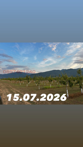 ������� ���������� ���� | Imot.bg � ����� ������ 11