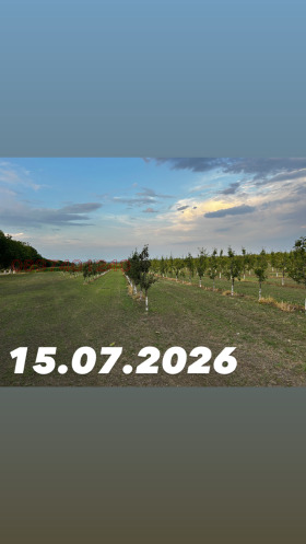 ������� ���������� ���� | Imot.bg � ����� ������ 5
