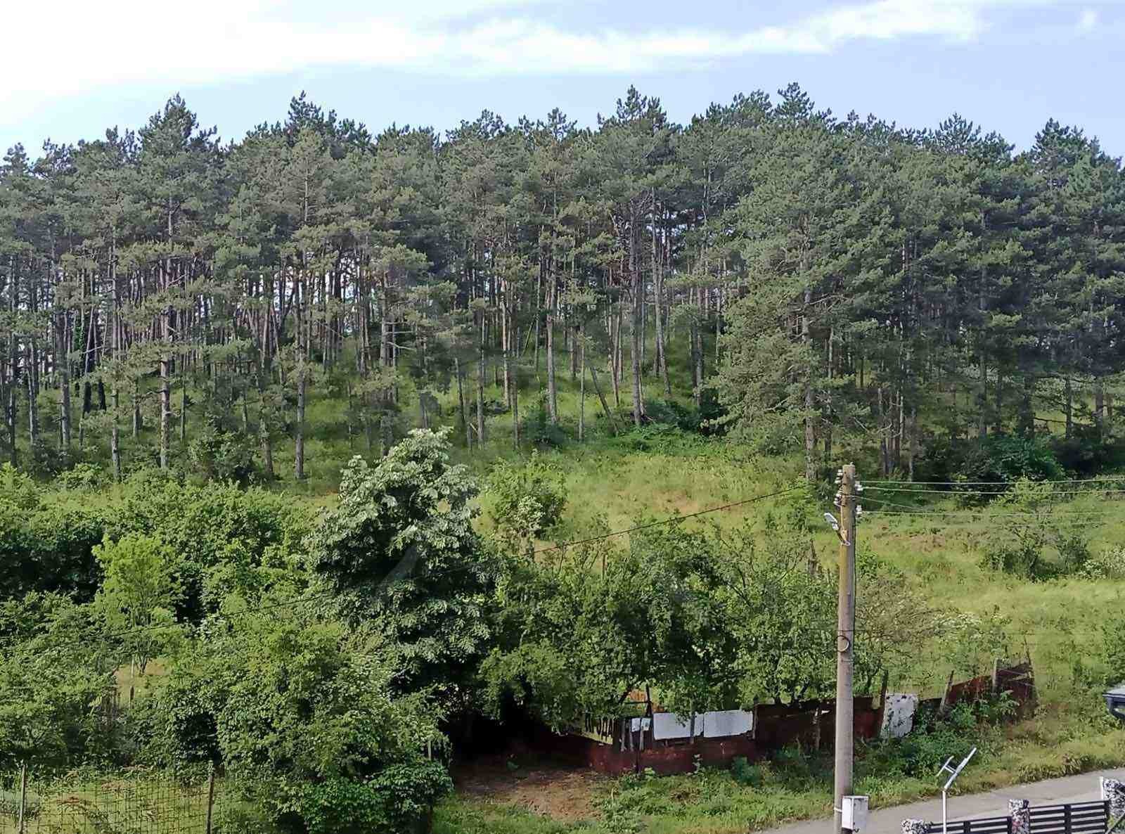 Продава 2-СТАЕН, гр. Средец, област Бургас, снимка 10 - Апартаменти - 54945847